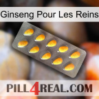 Ginseng For Kidney cialis1